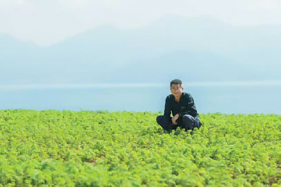 平野青果株式会社　代表取締役　平野幸助　橘湾と雲仙岳を望む人参畑にて