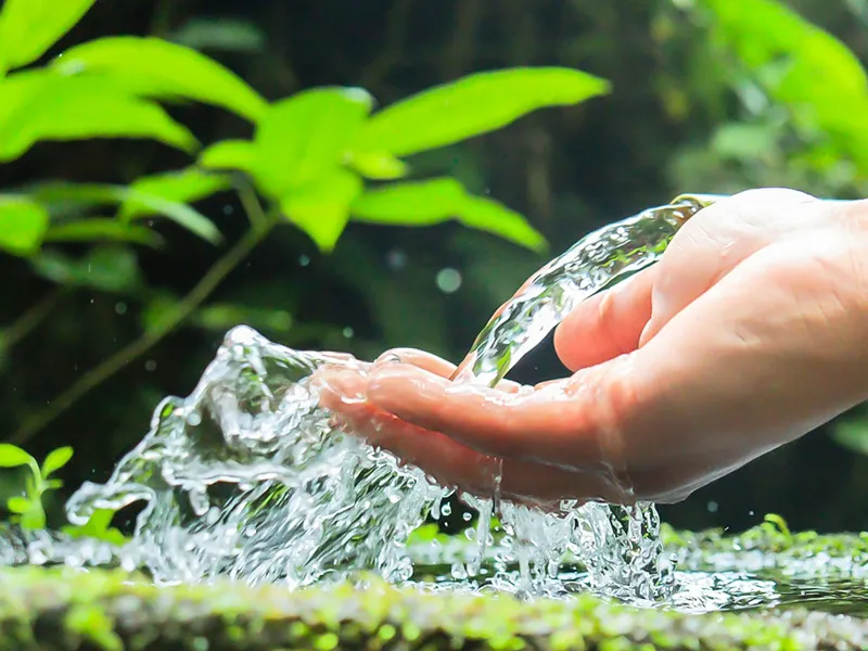諫早市飯盛町のきれいな地下水