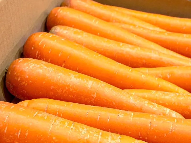 箱に決まった本数を詰める「定数詰め」の平野青果にんじん